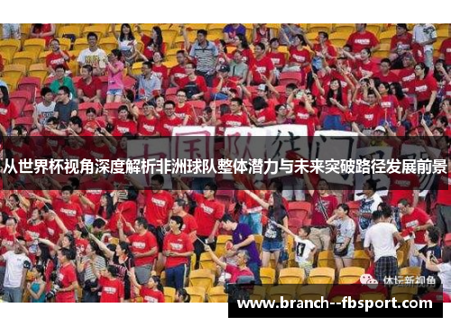 从世界杯视角深度解析非洲球队整体潜力与未来突破路径发展前景